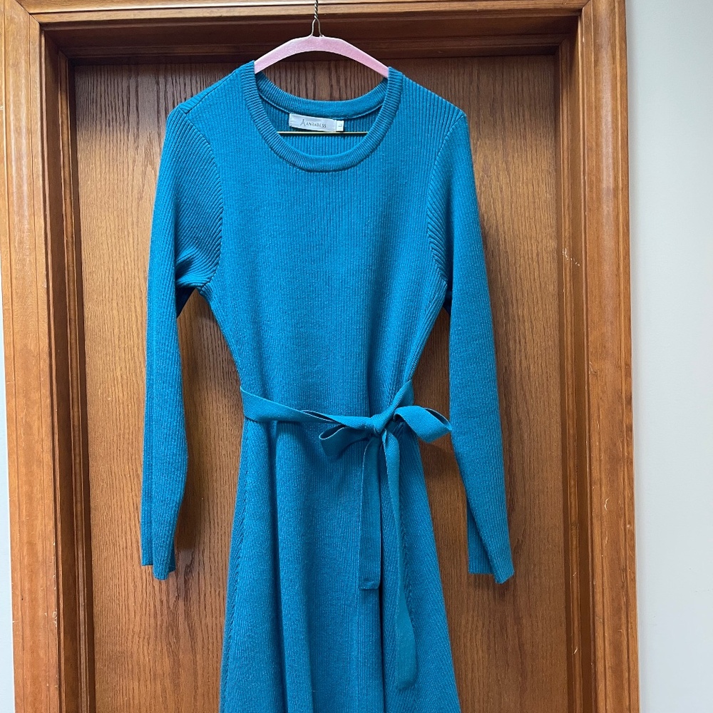 Amrabass blue sweater dress